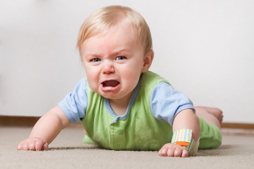 Toddler Behavior